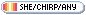 pride button with the lesbian flag stating she/chirp/any